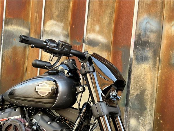 2021 Harley-Davidson Softail