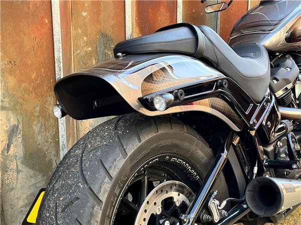 2021 Harley-Davidson Softail