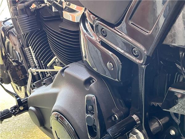 2021 Harley-Davidson Softail