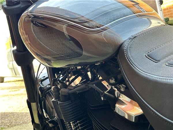 2021 Harley-Davidson Softail