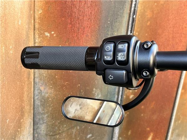 2021 Harley-Davidson Softail