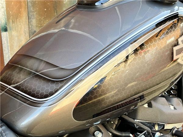 2021 Harley-Davidson Softail