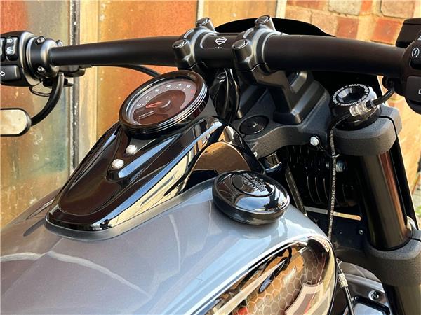 2021 Harley-Davidson Softail