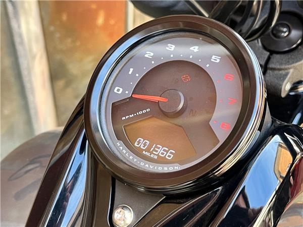 2021 Harley-Davidson Softail