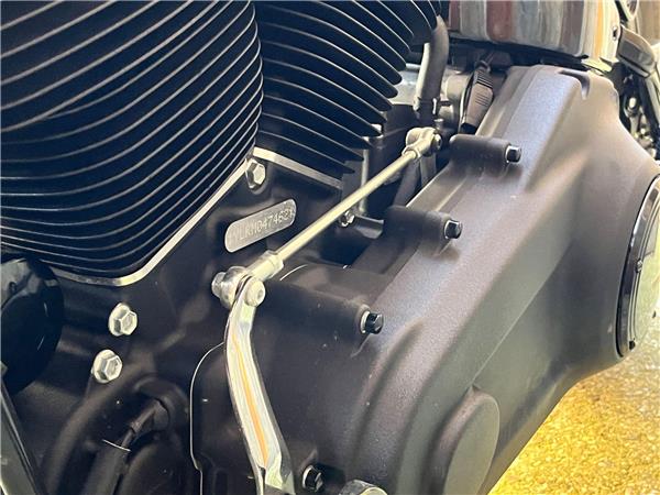 2021 Harley-Davidson Softail