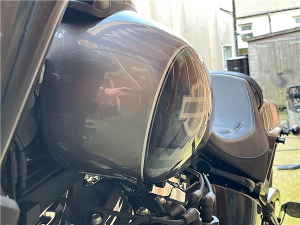 2021 Harley-Davidson Softail