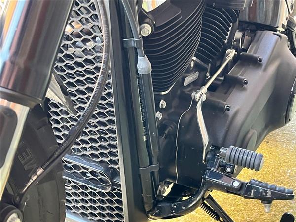 2021 Harley-Davidson Softail