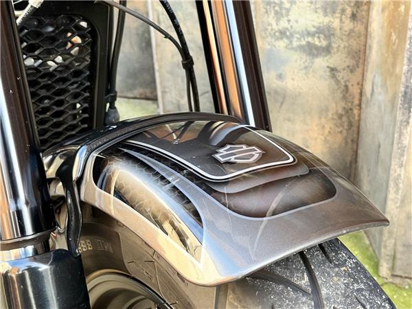 2021 Harley-Davidson Softail