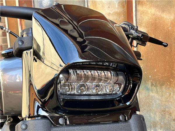 2021 Harley-Davidson Softail