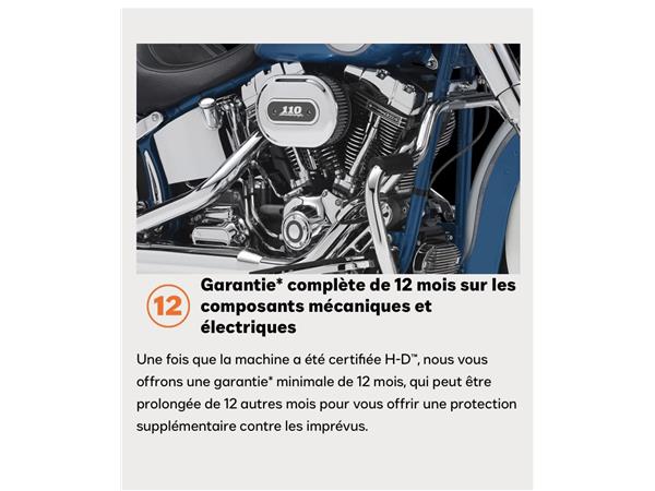 2025 HARLEY-DAVIDSON LOW RIDER