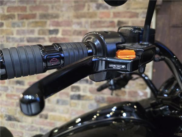 2018 Harley-Davidson CVO