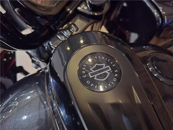 2018 Harley-Davidson CVO