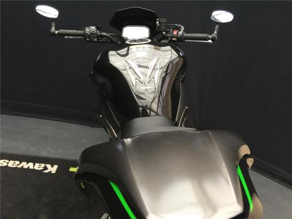 2024 Kawasaki Z900 SE PERFORMANCE BLACK/GREEN