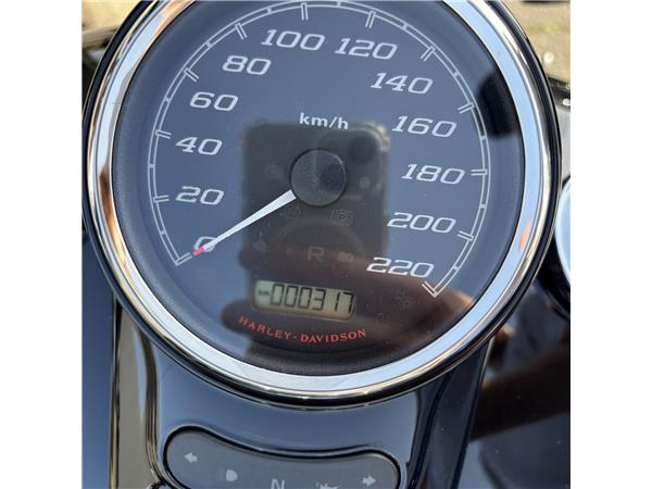 2024 HARLEY-DAVIDSON FREEWHEELER
