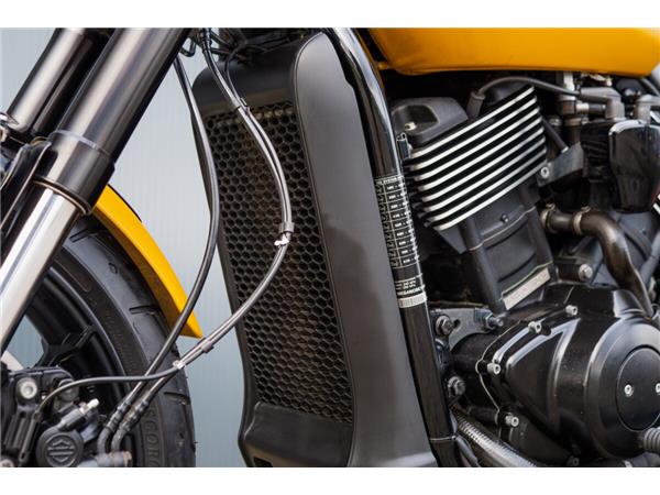 2019 Harley-Davidson Street Rod