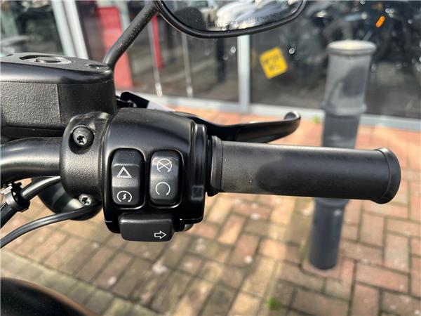 2019 HARLEY-DAVIDSON SPORTSTER 883