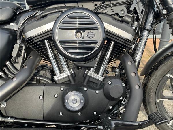 2019 HARLEY-DAVIDSON SPORTSTER 883