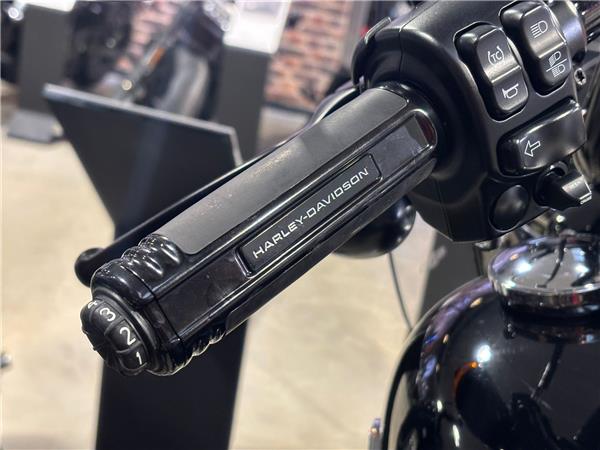 2025 HARLEY-DAVIDSON ROAD KING SPECIAL