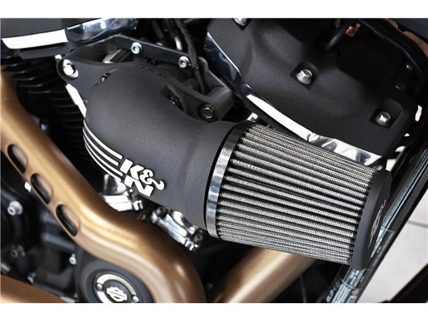 2019 HARLEY-DAVIDSON SOFTAIL FXFB FAT BOB