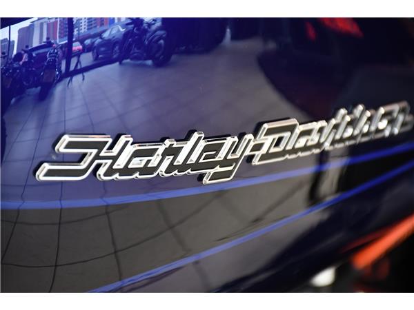 2021 HARLEY-DAVIDSON TOURING FLHRXS ROAD KING SPECIAL