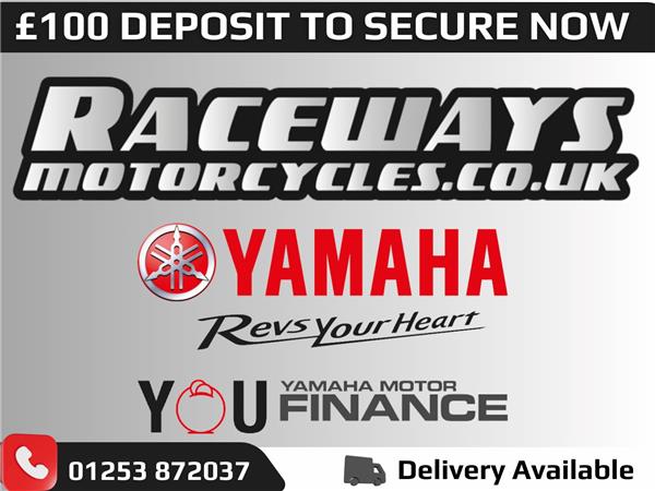 2025 YAMAHA MT-09 Y-AMT