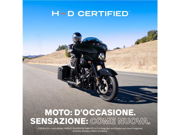 2022 harley-davidson FLHXST 1923 Street Glide ST 117