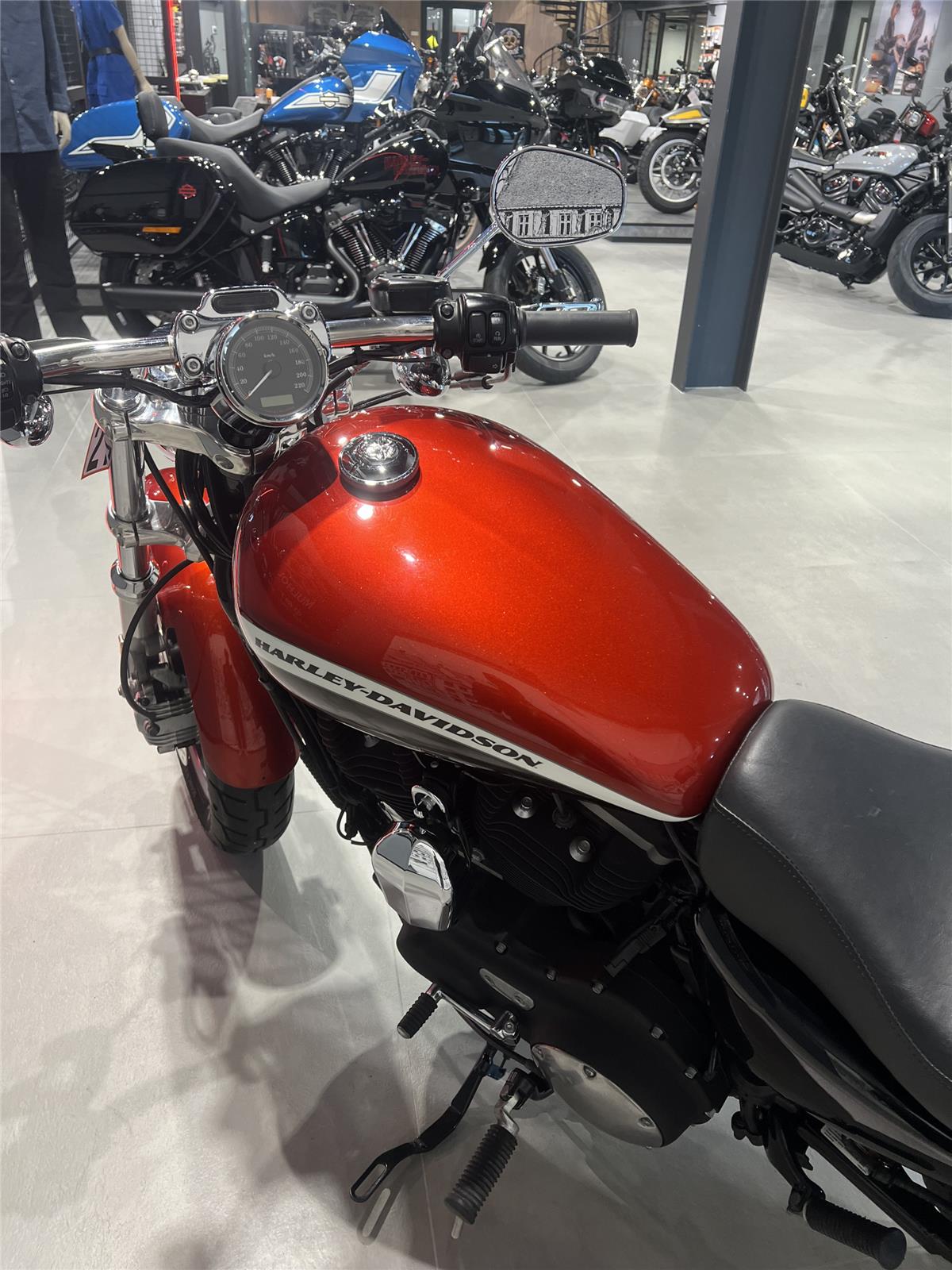 2013 HARLEY-DAVIDSON CUSTOM