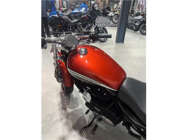 2013 HARLEY-DAVIDSON CUSTOM