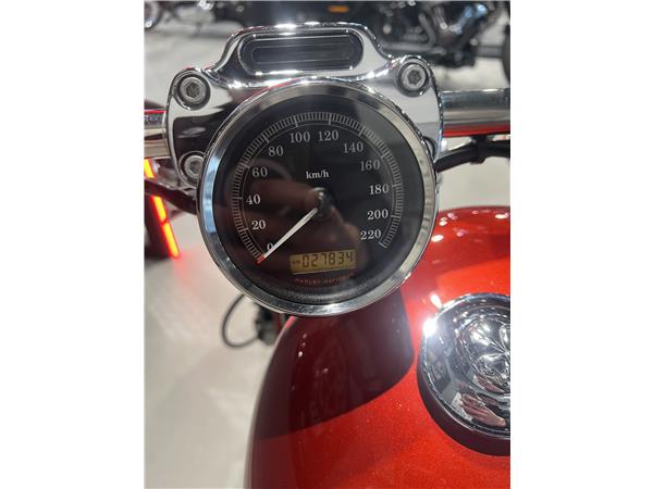 2013 HARLEY-DAVIDSON CUSTOM