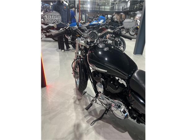 2011 HARLEY-DAVIDSON CUSTOM