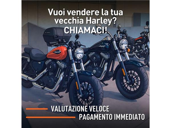 2019 harley-davidson XL 1200 X Sportster Forty Eight