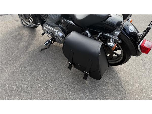 2020 harley-davidson XL 883 L Sportster Super Low