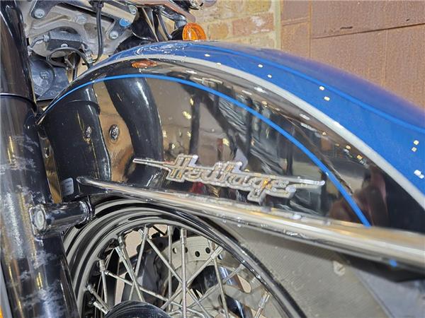 2018 Harley-Davidson Softail