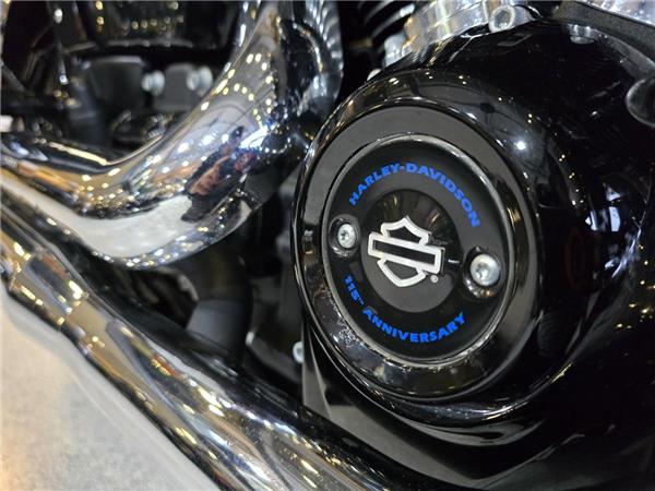 2018 Harley-Davidson Softail