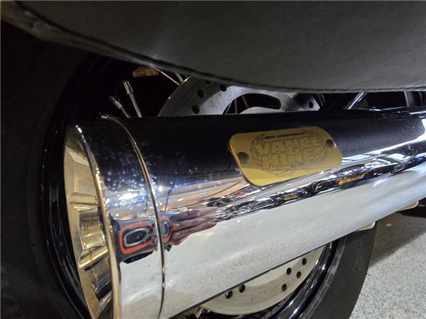 2018 Harley-Davidson Softail