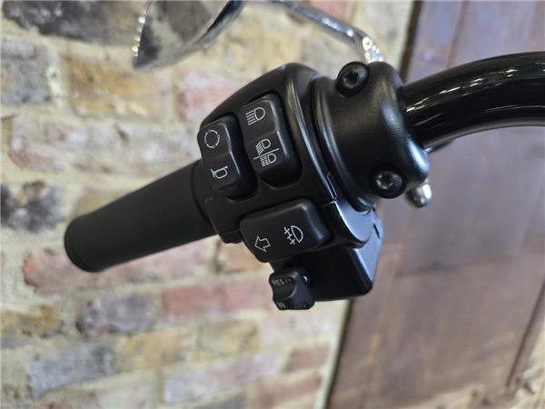 2018 Harley-Davidson Softail