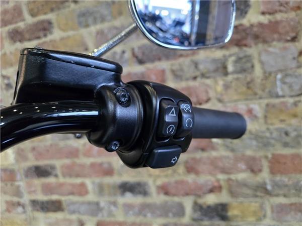 2018 Harley-Davidson Softail