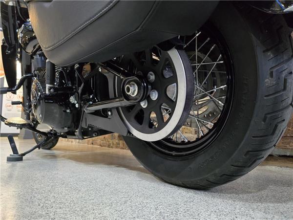 2018 Harley-Davidson Softail