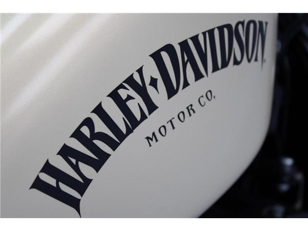 2015 Harley-Davidson Iron 883