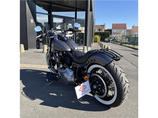 2015 HARLEY-DAVIDSON SLIM