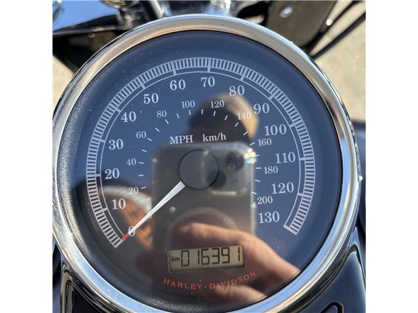2015 HARLEY-DAVIDSON SLIM
