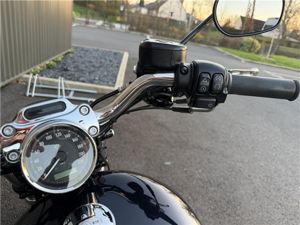 2019 HARLEY-DAVIDSON CUSTOM