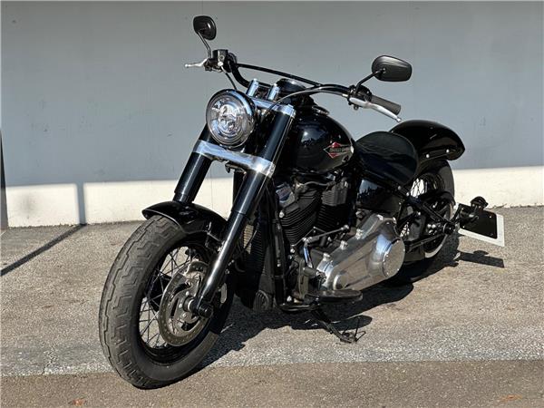 2021 Harley-Davidson Softail