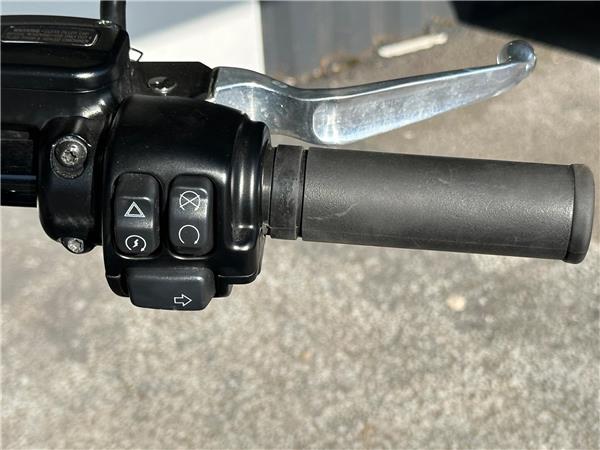 2021 Harley-Davidson Softail