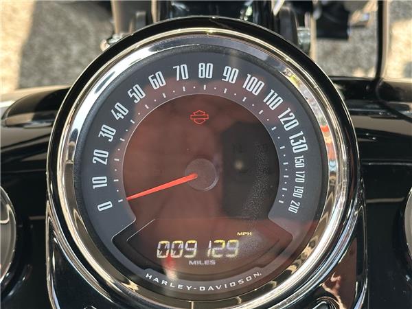 2021 Harley-Davidson Softail