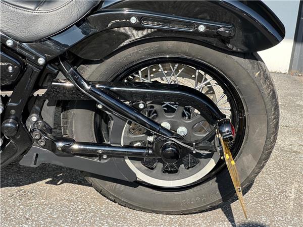 2021 Harley-Davidson Softail