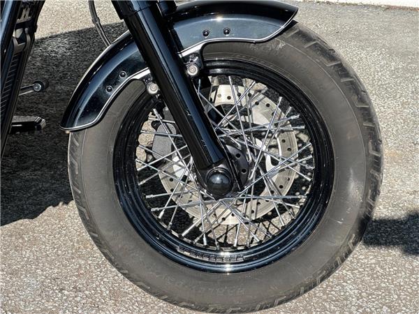 2021 Harley-Davidson Softail