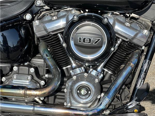 2021 Harley-Davidson Softail