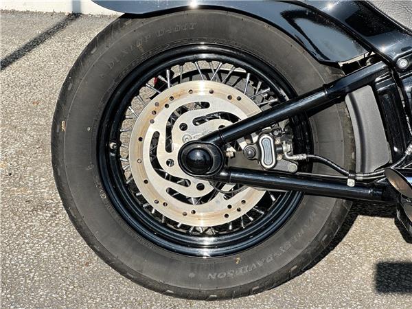 2021 Harley-Davidson Softail