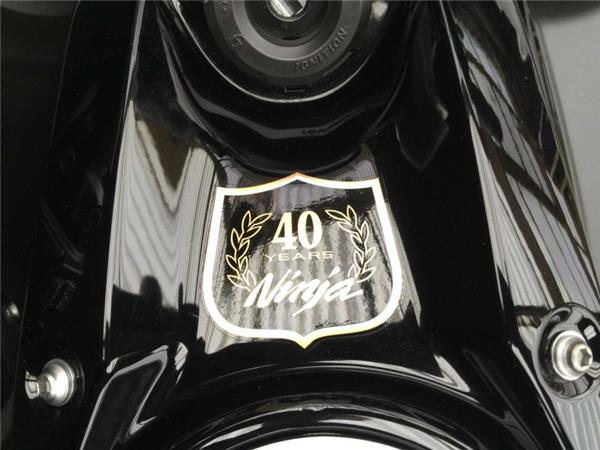 2024 Kawasaki NINJA 650 BLACK/RED